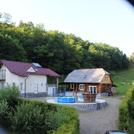 Villa La cretu Rozavlea Exterior foto